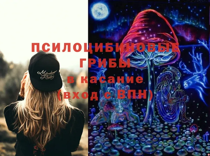 Псилоцибиновые грибы Magic Shrooms  сколько стоит  Старый Оскол 