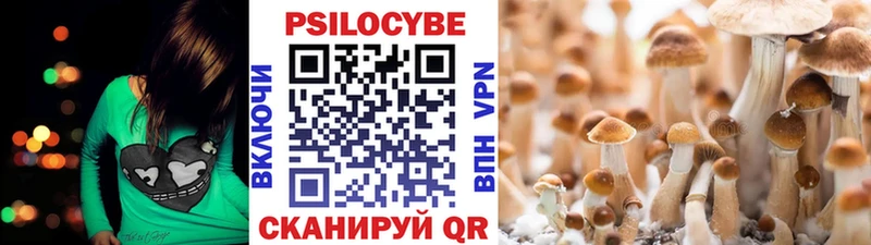 купить  сайты  Старый Оскол  Галлюциногенные грибы мицелий 