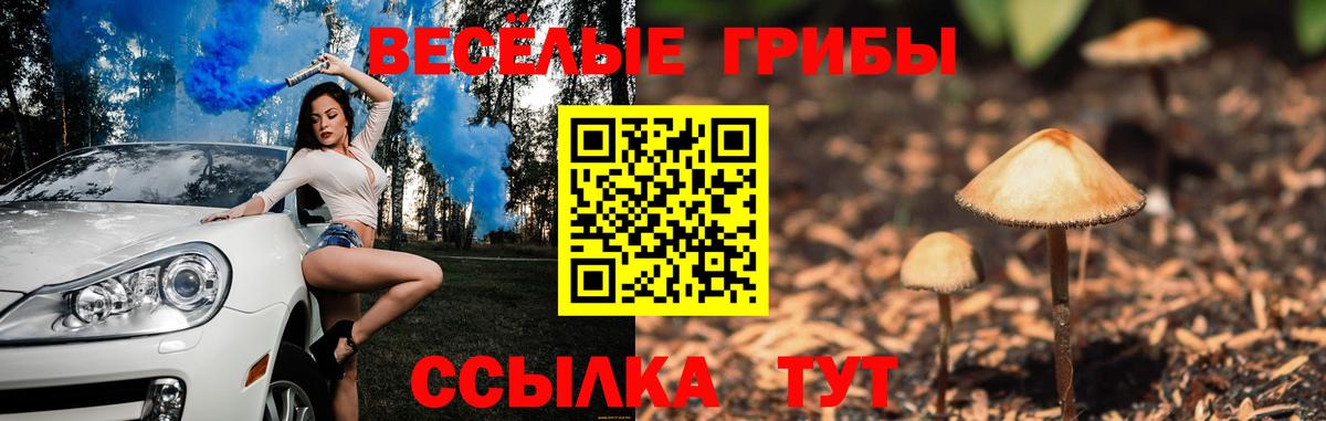 Псилоцибиновые грибы прущие грибы Старый Оскол